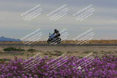 media/Jan-14-2023-SoCal Trackdays (Sat) [[497694156f]]/Turn 14 Exit Bloomig (145pm)/